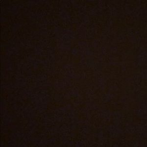 Meet your Posher, Reagan